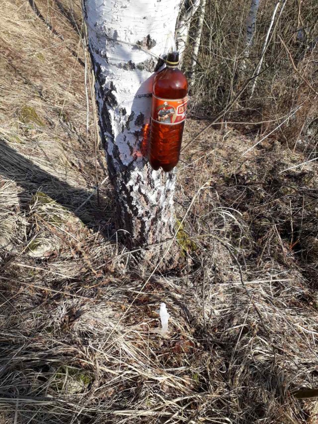 Хорошо в деревне летом