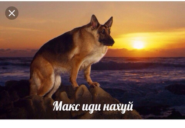 Пес укладывает ребенка спать