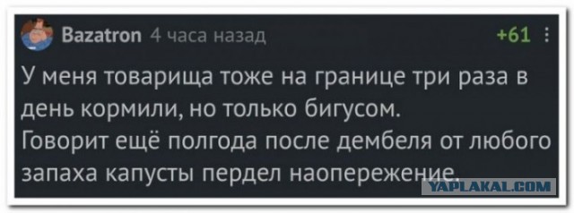 Забавные шутки, картинки и фразы из этих ваших интернетов