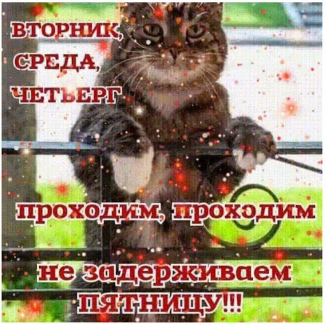 Смешные комментарии из социальных сетей 28.08.2020