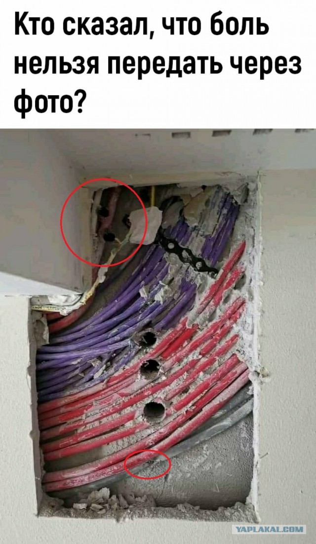 Сколько боли на одном фото
