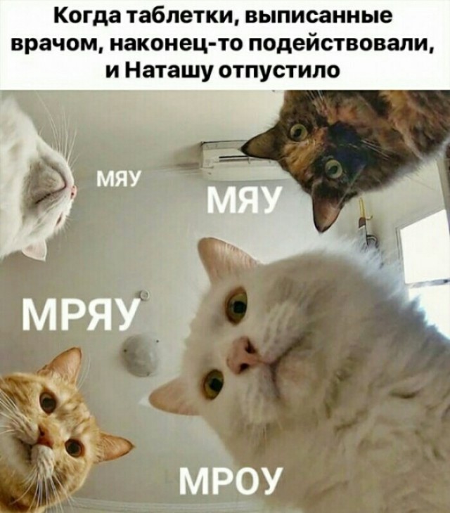 Мемы про Наташу