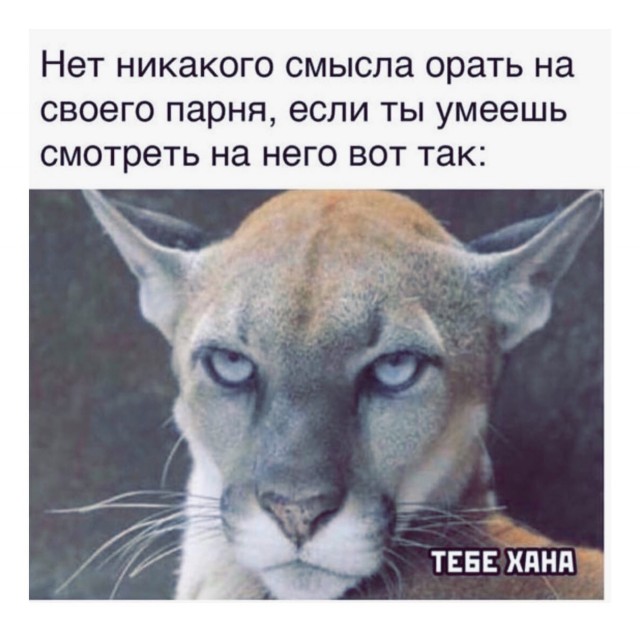 Картинки разные 10.01.21