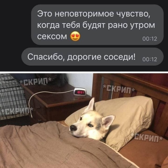 Едрить - колотить!