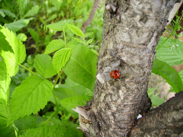 Просто фотки - 4
