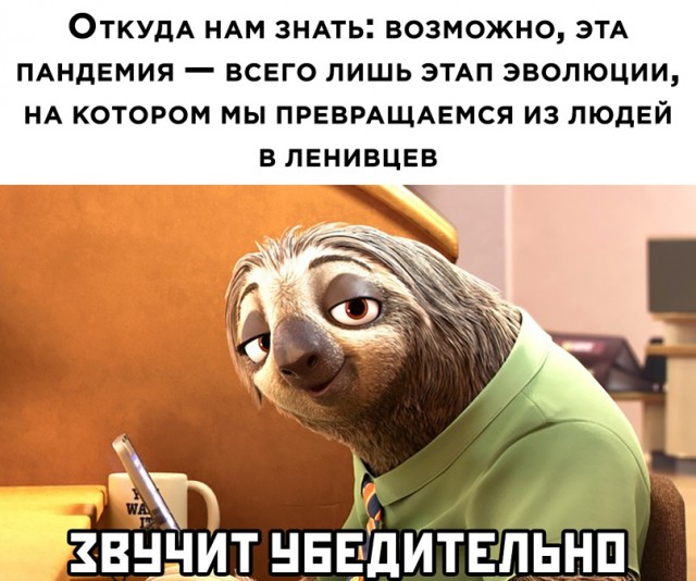 Весёлый полтишок 24.02