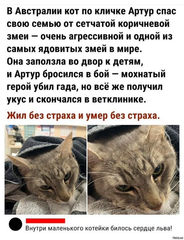 Так себе картинки 08.03.21