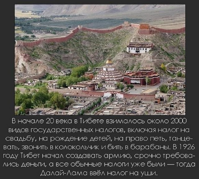 Жителей села под Рязанью оштрафовали за парковку машин возле своих же домов