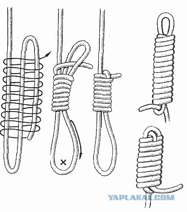 Почему все носят георгиевскую ленту неправильно