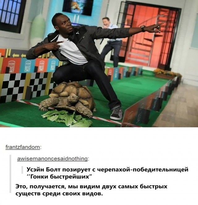 Весёлый полтишок 17.06.