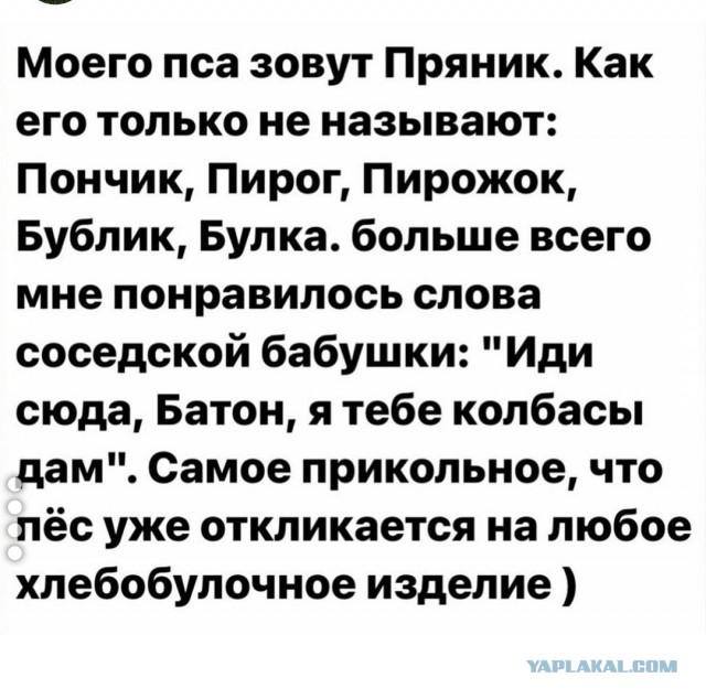Предлагайте ваши варианты