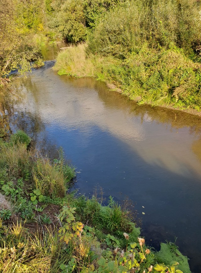 Рыбалка