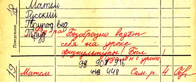 Дневник школьника СССР
