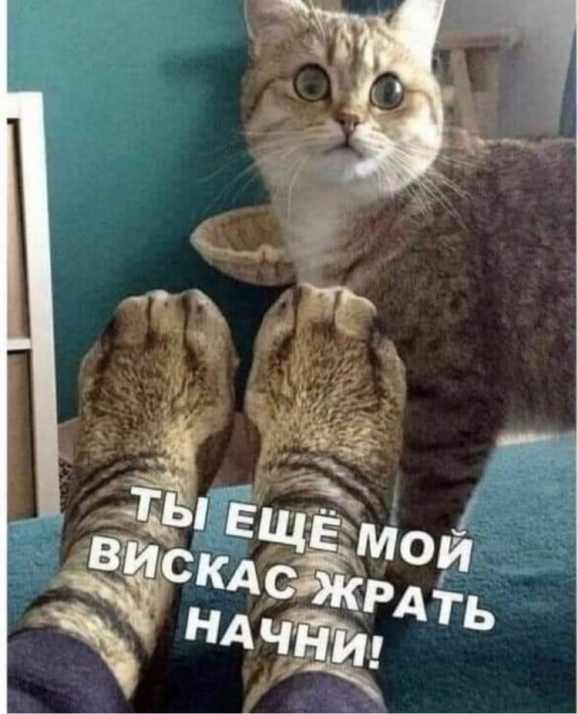 Картинки и мемы для настроения 13.12.2021