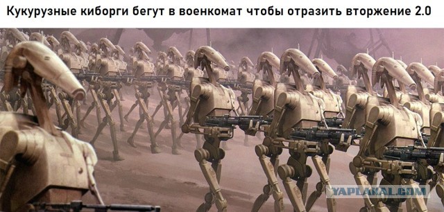 Выдали военную тайну - воинские части Вооружен-  ных Сил РФ, дислоцирующихся на территории ДНР и ЛНР