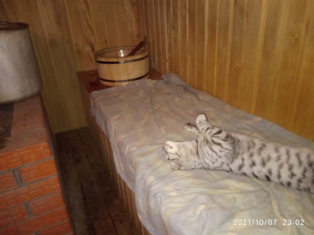 В баньку