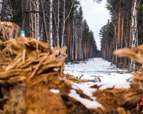 Эх в баньку бы