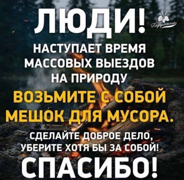 Свиноты