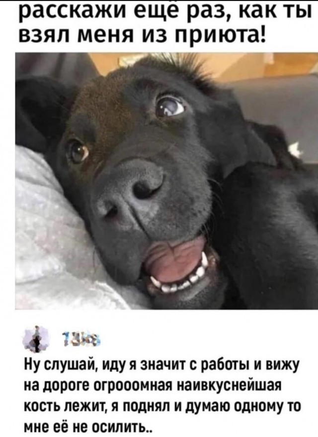 Счастливый билет для Харви