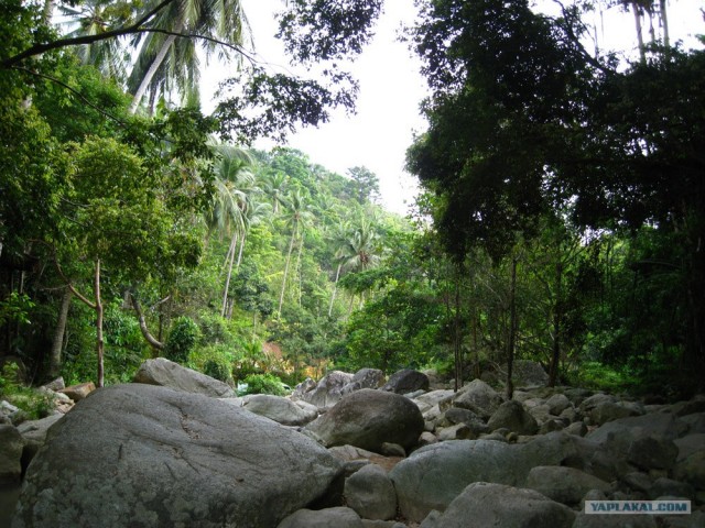 Такой разный остров Самуи
