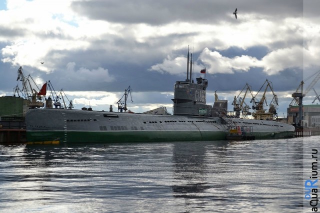 СПб глазами уставшего туриста...