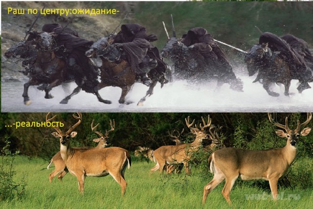 Wargaming