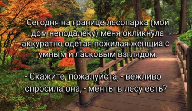 50 оттенков серого если самосвал баянов.  Vol.19. 50 штук.