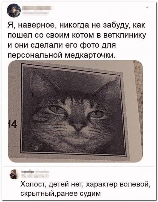 Скриншоты и комментарии из социальных сетей 06.09.22