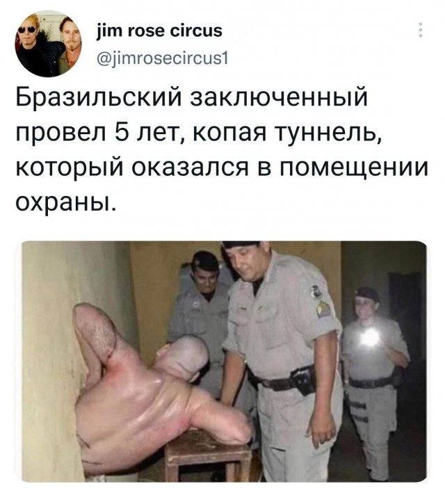 Победная поступь идиотизма по планете – том 2
