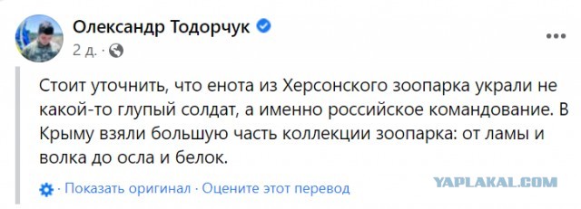 Эвакуация из Херсона. Будут сдавать?