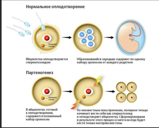 Победная поступь идиотизма по планете – том 3