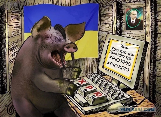 "Страна с миллионом айтишников" выглядит в реальности именно так