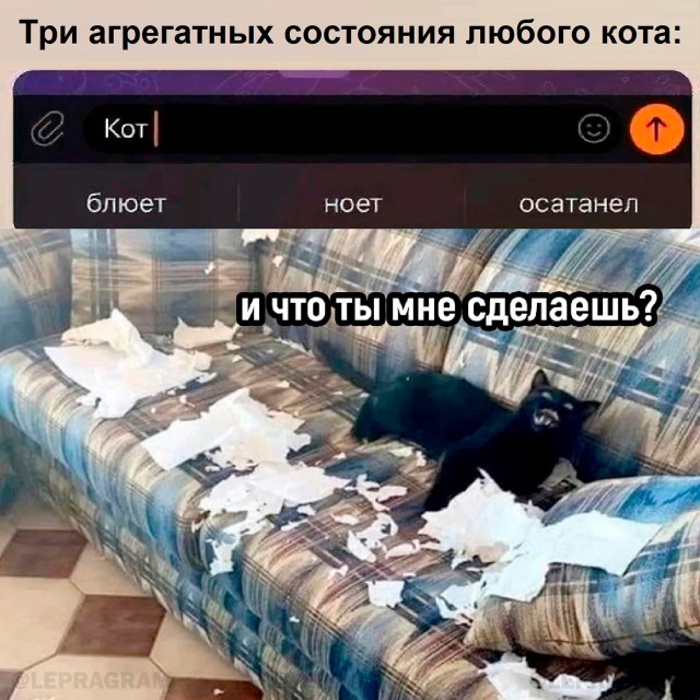 Картинки и мемы, всем хороших выходных