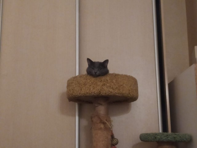 Совпало же? В котовторник