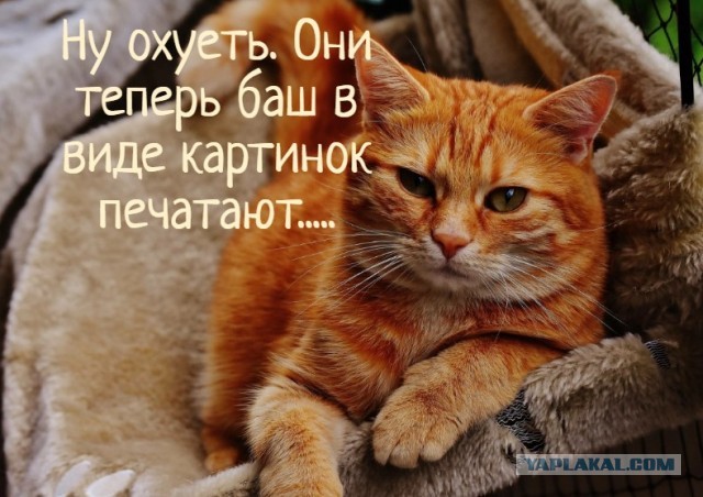 Скриншоты и комментарии из социальных сетей 02.08.23
