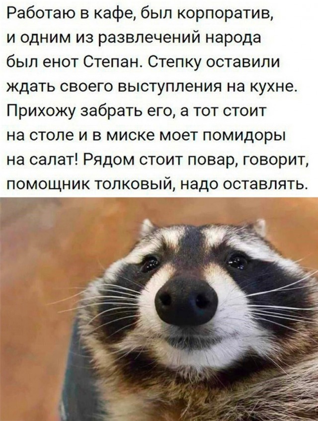 Так себе картинки 27.08.23