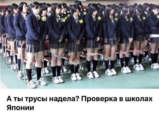 Как вам, господа?