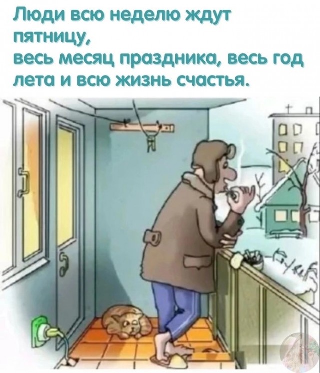 Так себе картинки 26.09.23