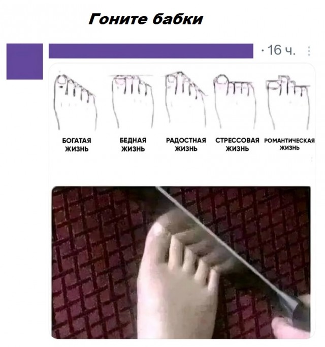 Весёлый полтишок 28.09.23