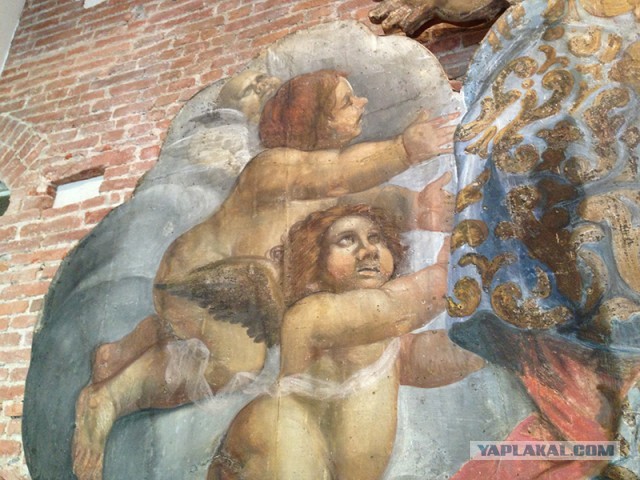 Я гонец из Пизы!