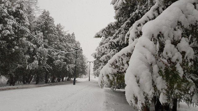 Ну вот. Я бомж