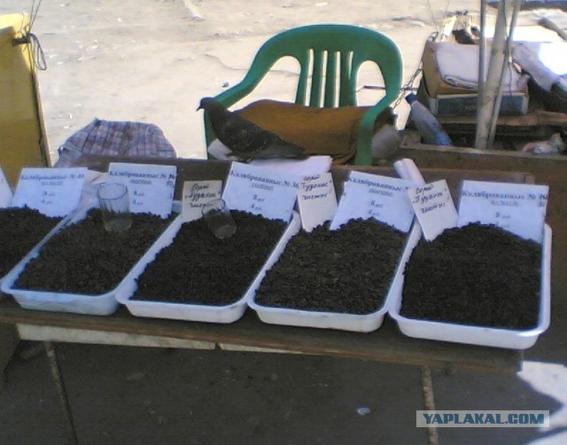 Почистил телефон