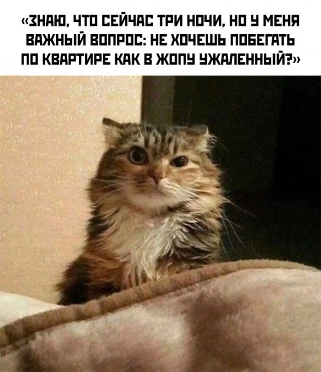 Весёлый полтишок 31.12.23