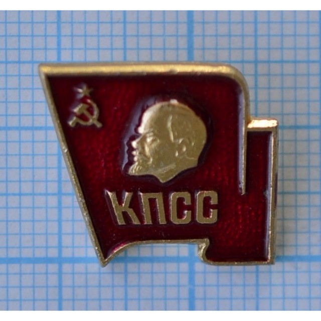 Гордость была, когда в пионерию принимали