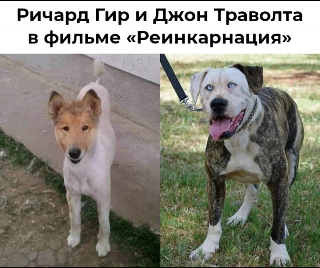 Нагулялиси мы.
