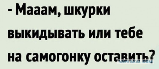 Так себе картинки 24.04.24