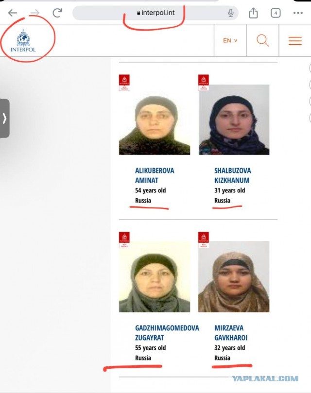 Совет муфтиев предрек напряженность в отношениях со странами Востока и внутри России, если никабы будут запрещены