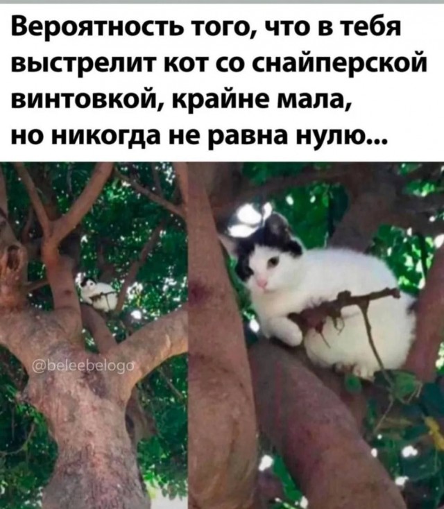 Завалялось тут случайно немного забавных картинок