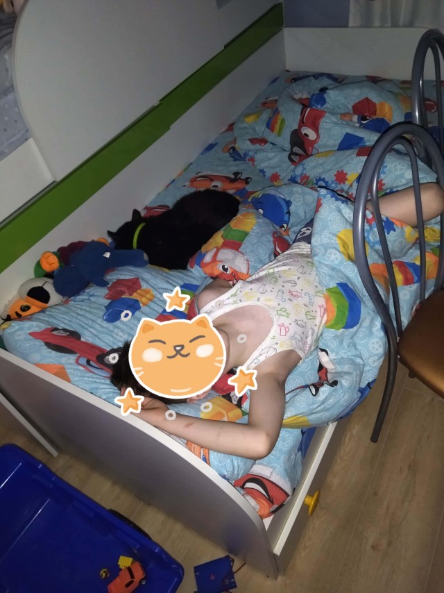 Коты деревенской породы