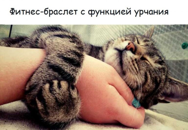 Так себе картинки 24.07.24